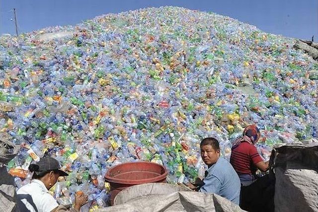 Daily picdump (153 pics)