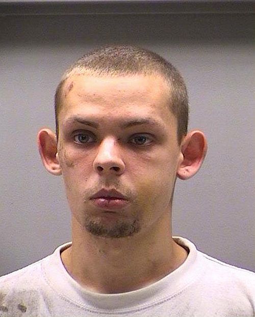 Fresh collection of mug shots (14 pics)