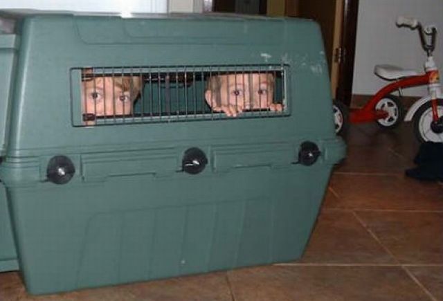 Children in cages (30 pics) Children in cages (30 pics)