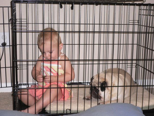 Children in cages (30 pics)