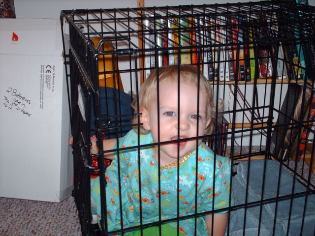 Children in cages (30 pics)