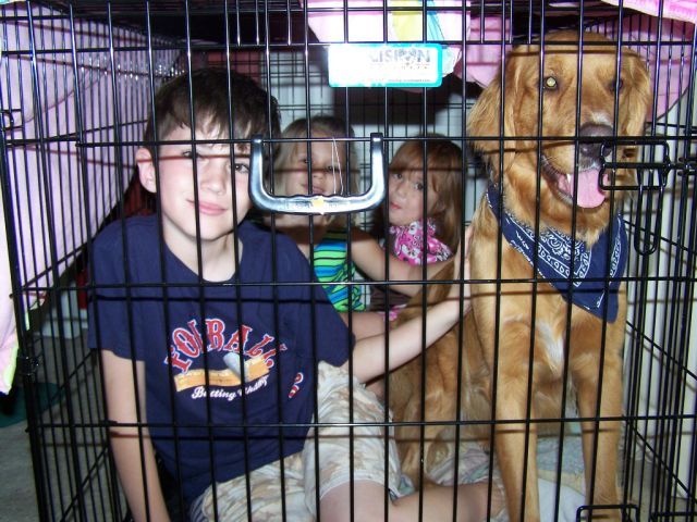 Children in cages (30 pics)