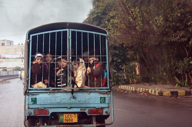 Children in cages (30 pics)