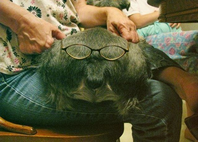 Daily picdump (149 pics)