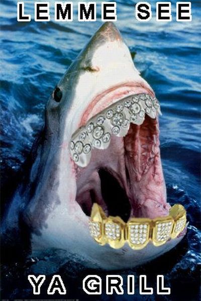 Daily picdump (149 pics)