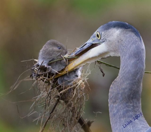 Daily picdump (149 pics)