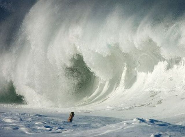 Daily picdump (149 pics)