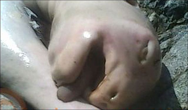 Mysterious creature from Panama (6 pics)