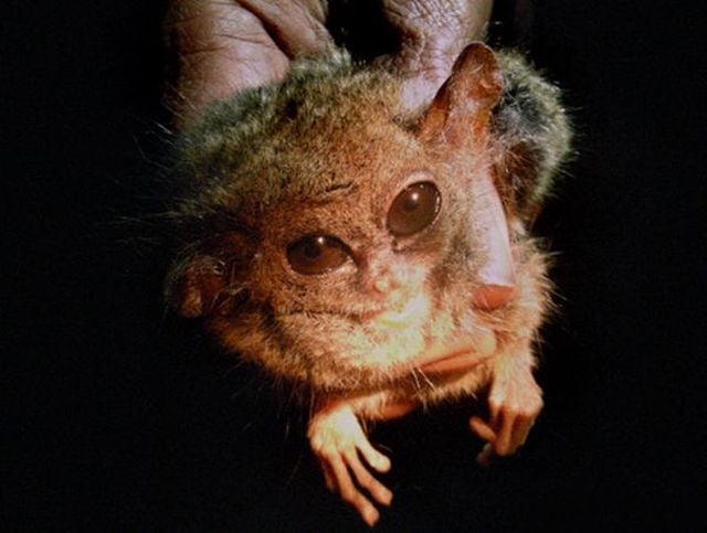 Only in Asia (145 pics)