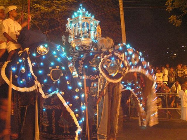 Only in Asia (145 pics)