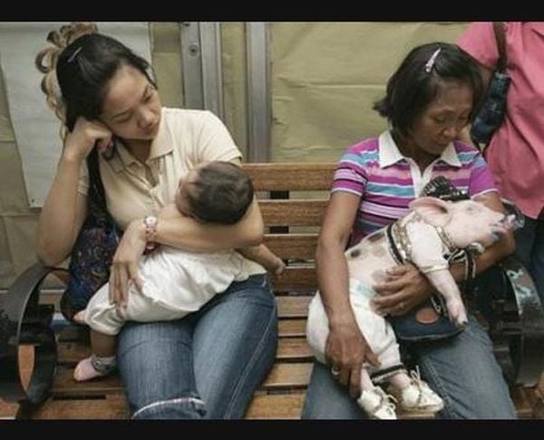 Only in Asia (145 pics)