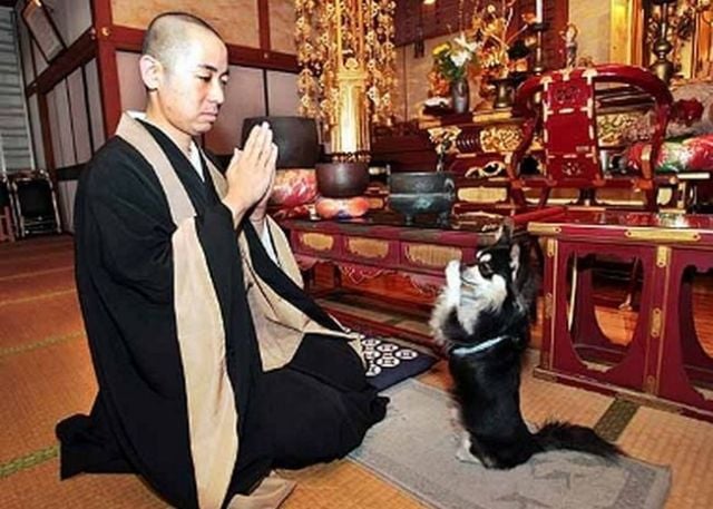 Only in Asia (145 pics)