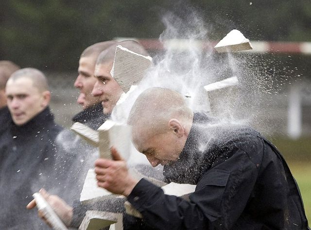 Daily picdump (118 pics)