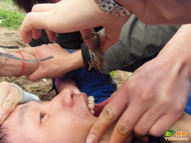 Daily picdump (118 pics)