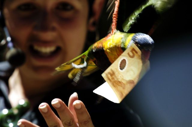 Daily picdump (118 pics)