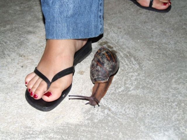 Daily picdump (118 pics)