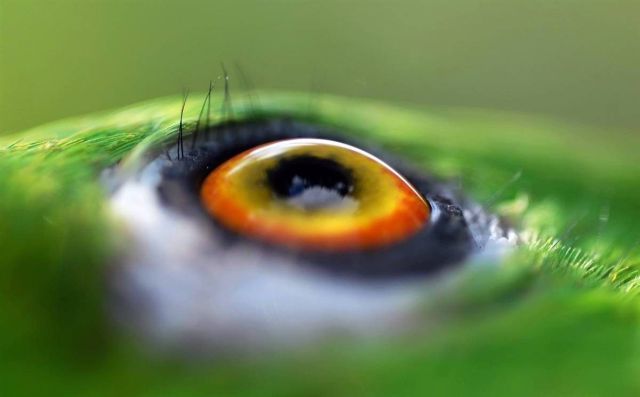 Daily picdump (118 pics)