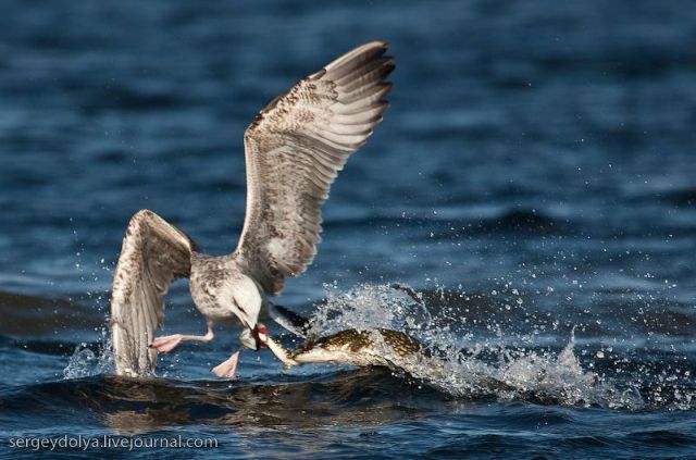 Daily picdump (118 pics)