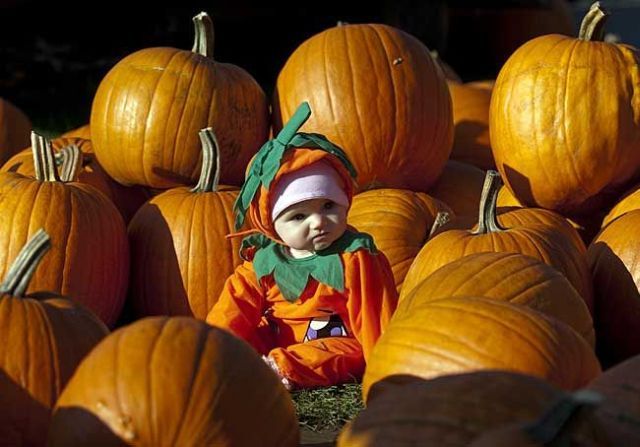 Daily picdump (118 pics)