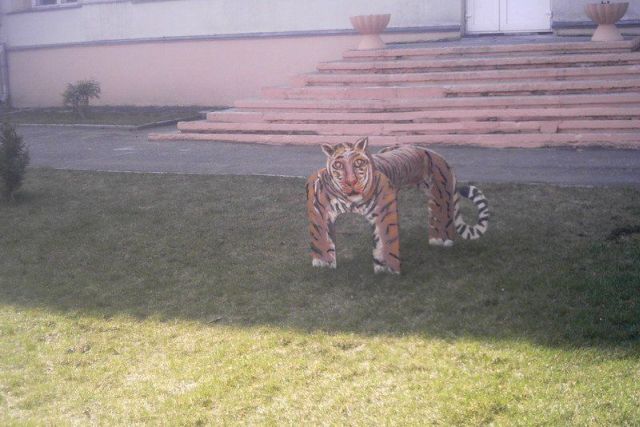 Daily picdump (118 pics)