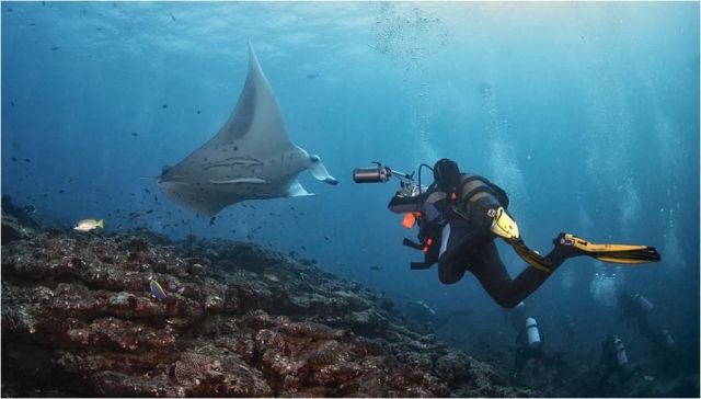 Daily picdump (118 pics)