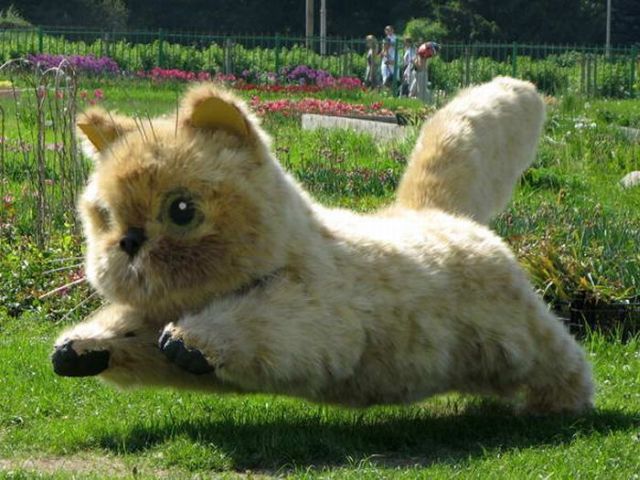 Daily picdump (118 pics)