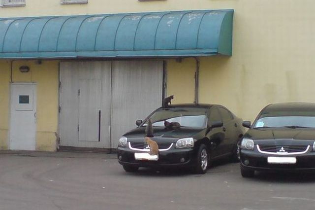 Daily picdump (118 pics)