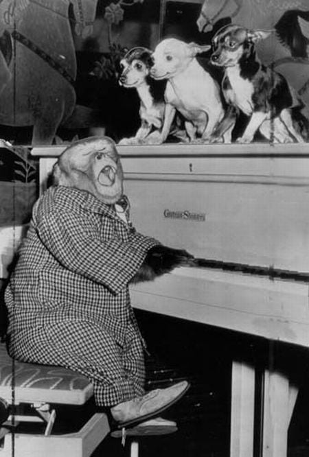 WTF Retro Pictures (65 pics)