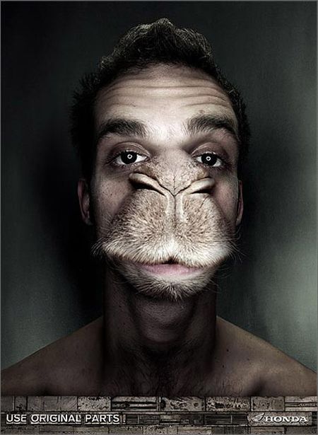 World’s Best Photo Retouching (76 pics)