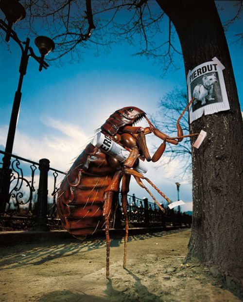 World’s Best Photo Retouching (76 pics)