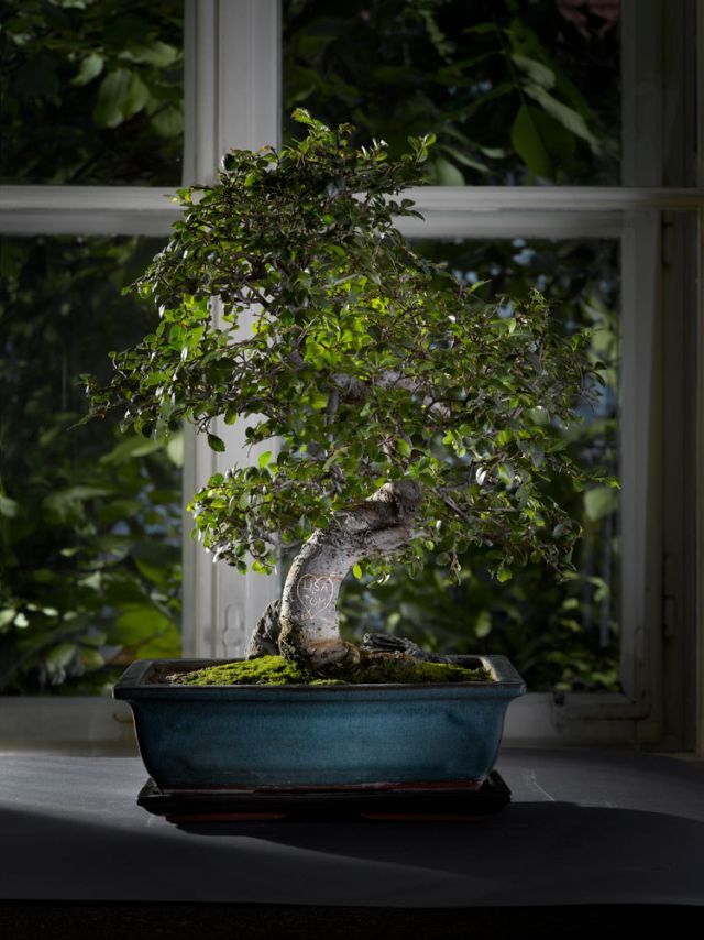 World’s Best Photo Retouching (76 pics)