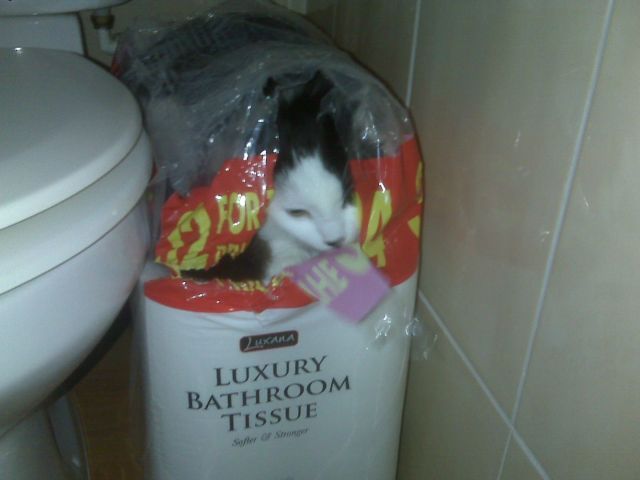 Daily picdump (127 pics)