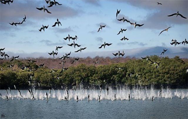 Daily picdump (127 pics)