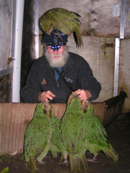 Daily picdump (127 pics)