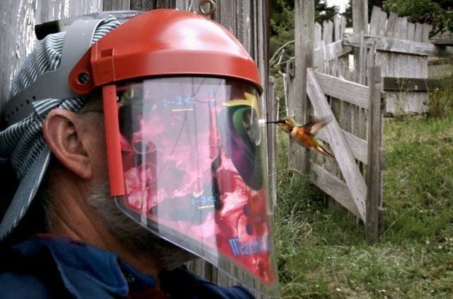 Daily picdump (127 pics)