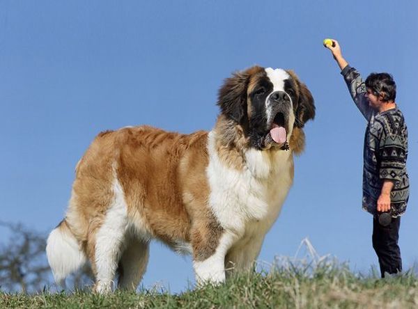 Daily picdump (127 pics)