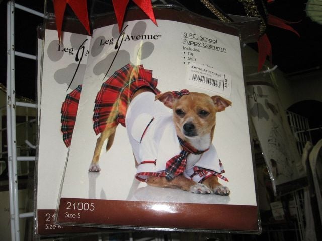 Daily picdump (127 pics)