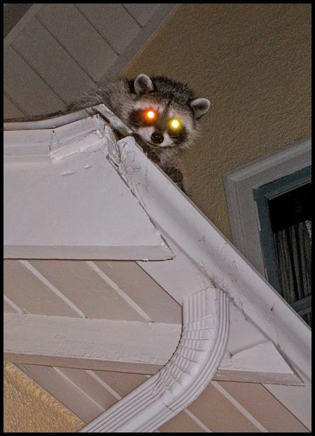 Daily picdump (118 pics)