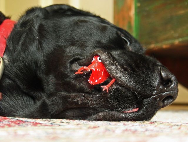 Daily picdump (118 pics)