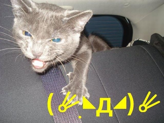 Daily picdump (118 pics)