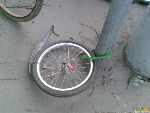 Daily picdump (118 pics)