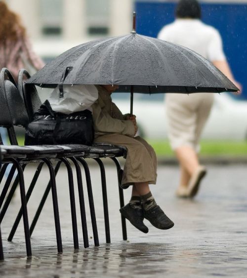 Daily picdump (118 pics)