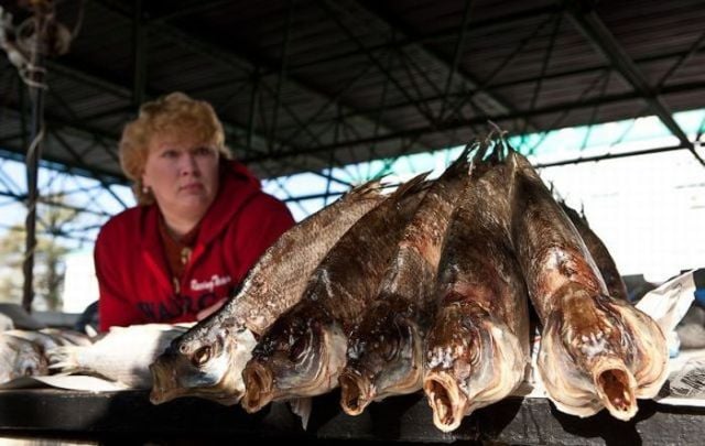 Daily picdump (118 pics)