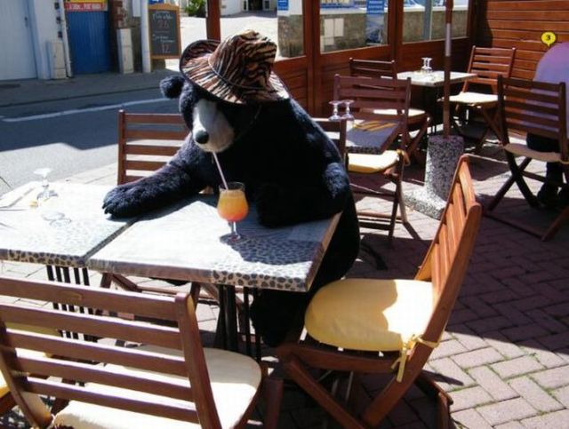 Daily picdump (118 pics)