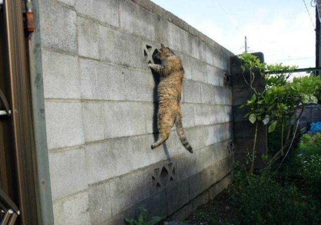 Daily picdump (118 pics)