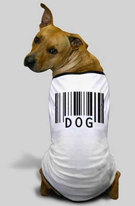 Daily picdump (118 pics)