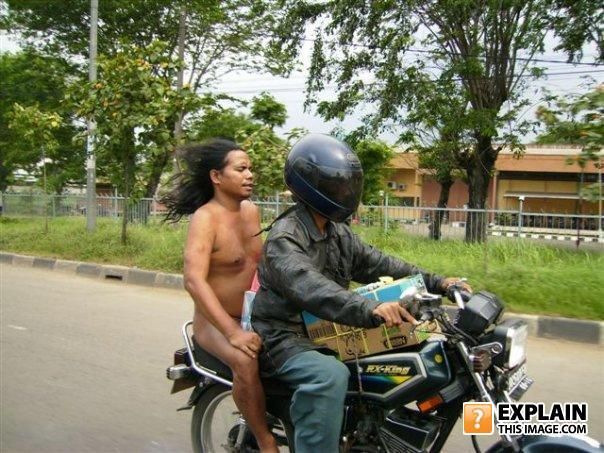 Daily picdump (118 pics)