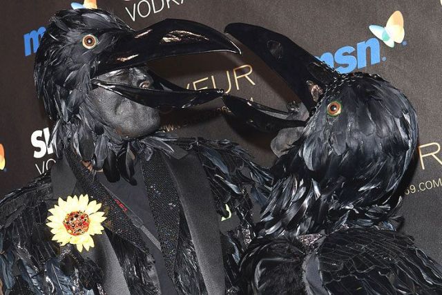 Daily picdump (118 pics)