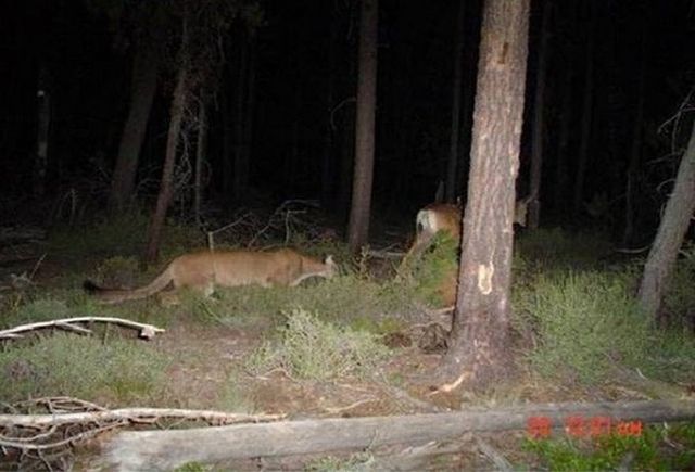 Daily picdump (118 pics)