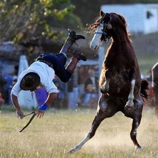 Shit happens. Part 3 (65 pics)